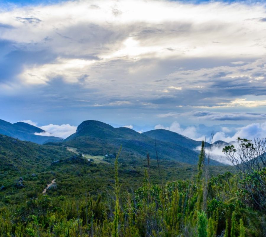Campo de Altitude-PARNA Caparao (Tray Quadrada)